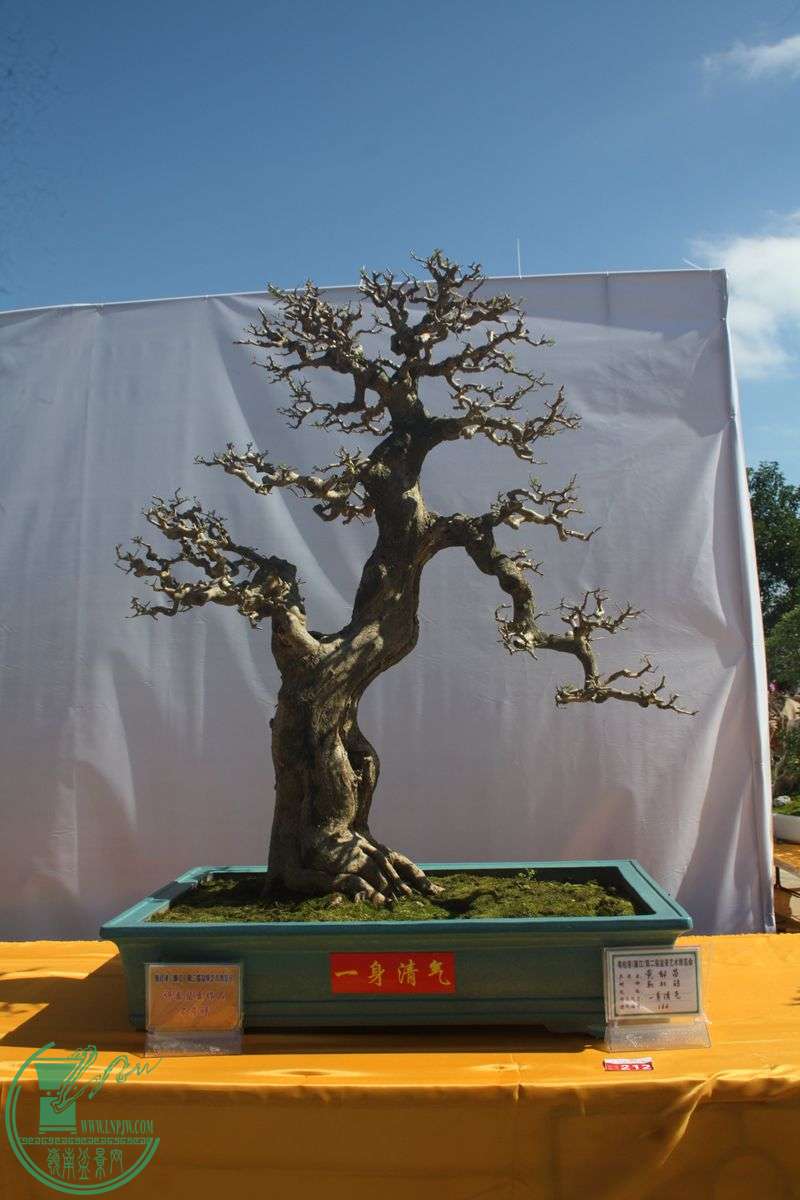 Ƭ20131026ۺ 062.jpg