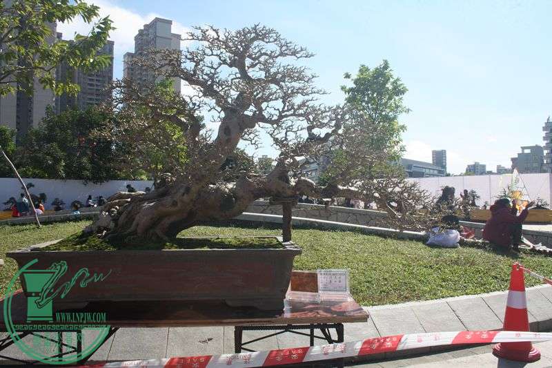 Ƭ20131026ۺ 068.jpg