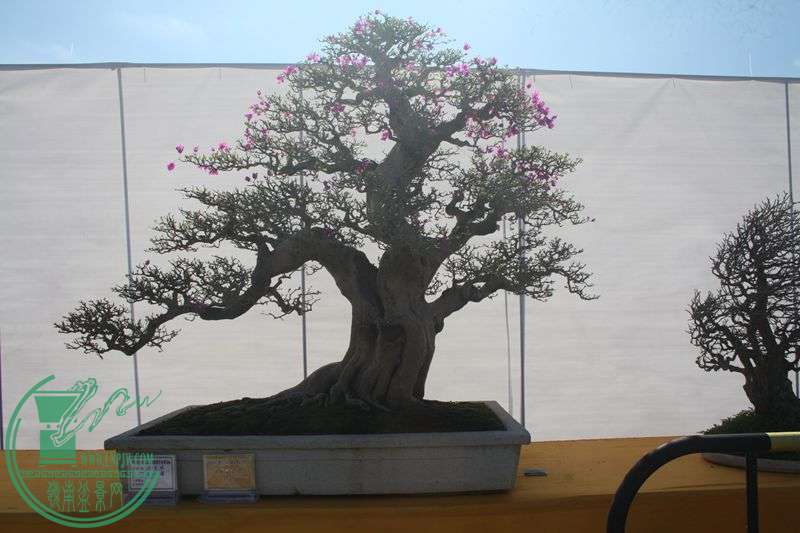 Ƭ20131026ۺ 076.jpg