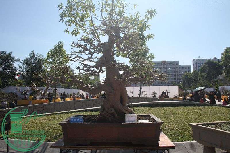 Ƭ20131026ۺ 092.jpg
