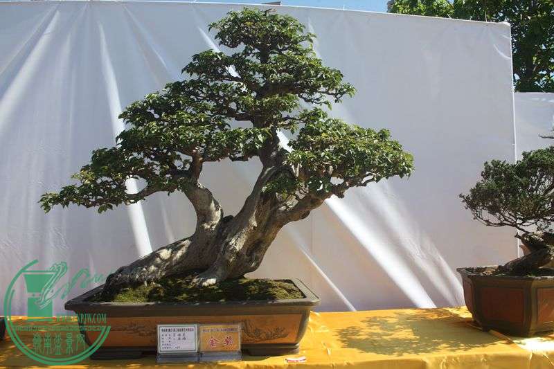 Ƭ20131026ۺ 164.jpg