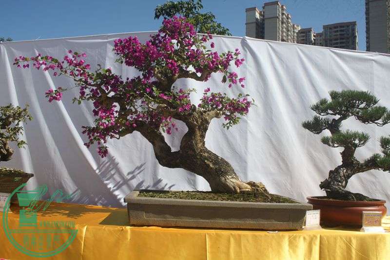 Ƭ20131026ۺ 173.jpg