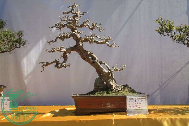 Ƭ20131026ۺ 180.jpg