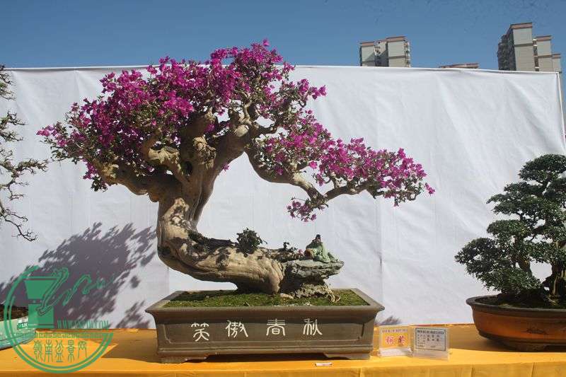 Ƭ20131026ۺ 251.jpg