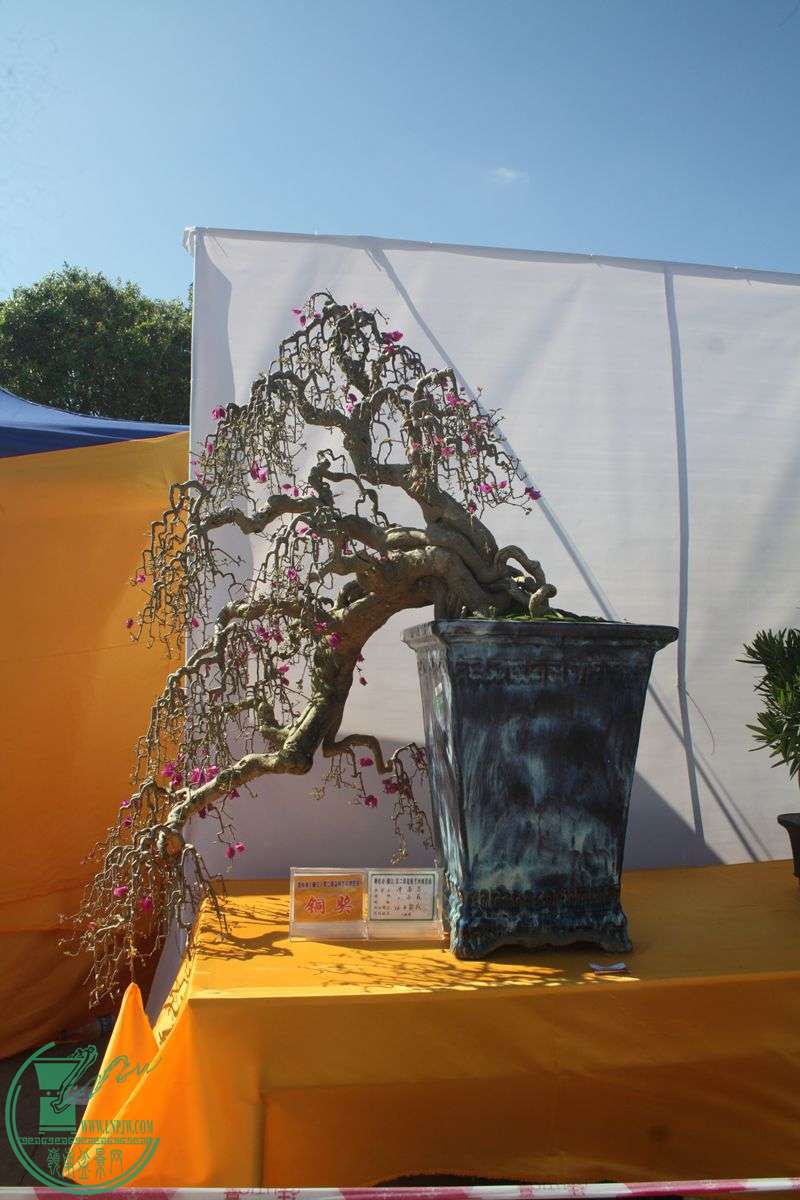 Ƭ20131026ۺ 278.jpg