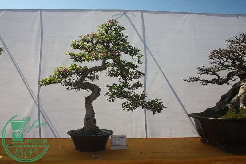 Ƭ20131026ۺ 297.jpg