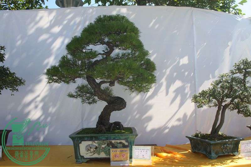 Ƭ20131026ۺ 116.jpg