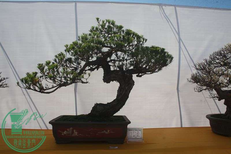 Ƭ20131026ۺ 296.jpg