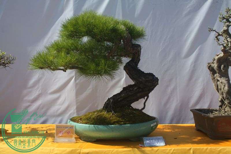 Ƭ20131026ۺ 045.jpg