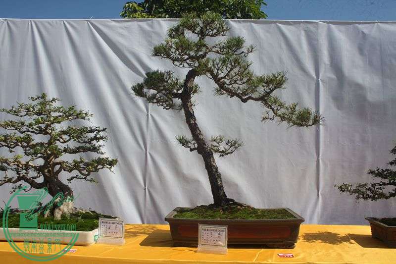 Ƭ20131026ۺ 104.jpg