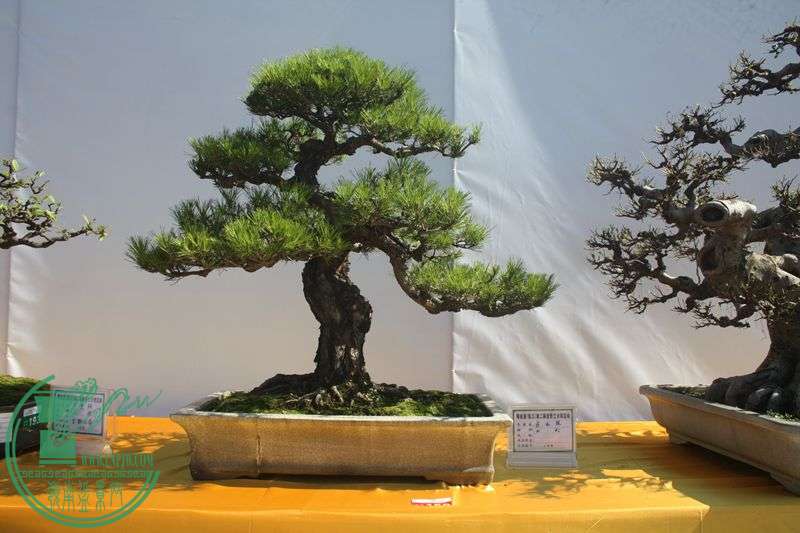 Ƭ20131026ۺ 127.jpg