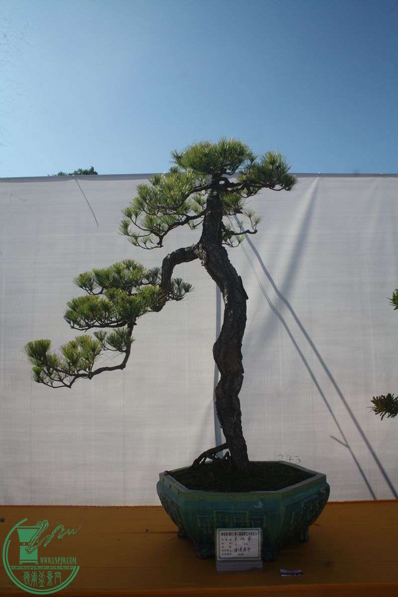 Ƭ20131026ۺ 304.jpg