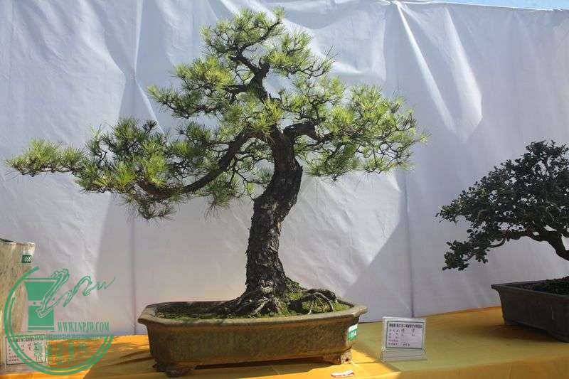 Ƭ20131026ۺ 130.jpg