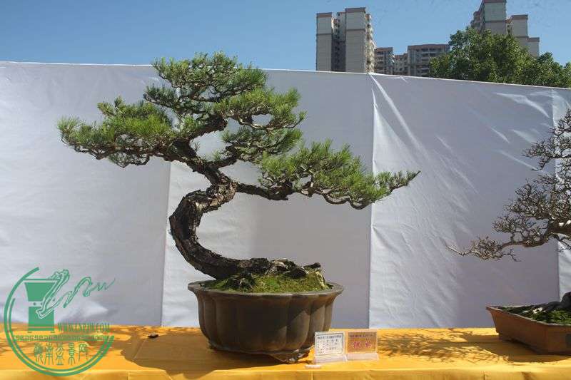 Ƭ20131026ۺ 150.jpg