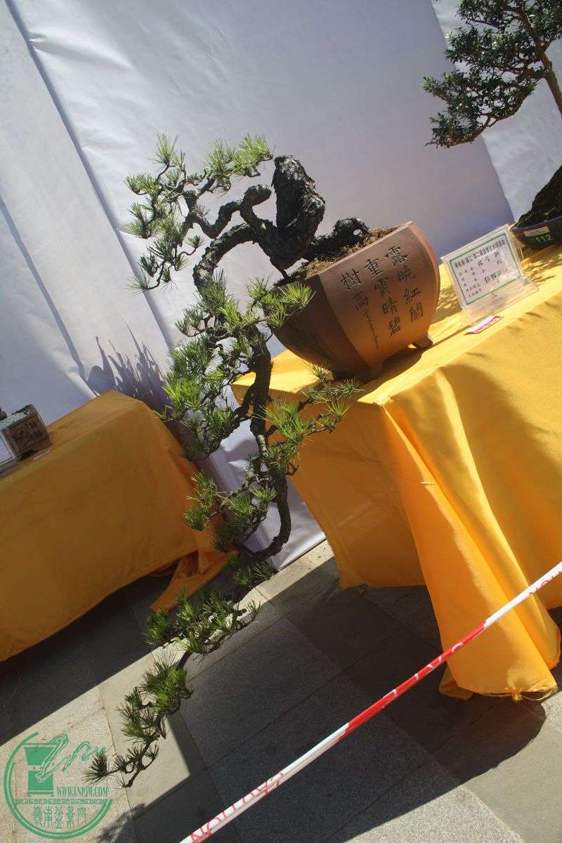 Ƭ20131026ۺ 153.jpg