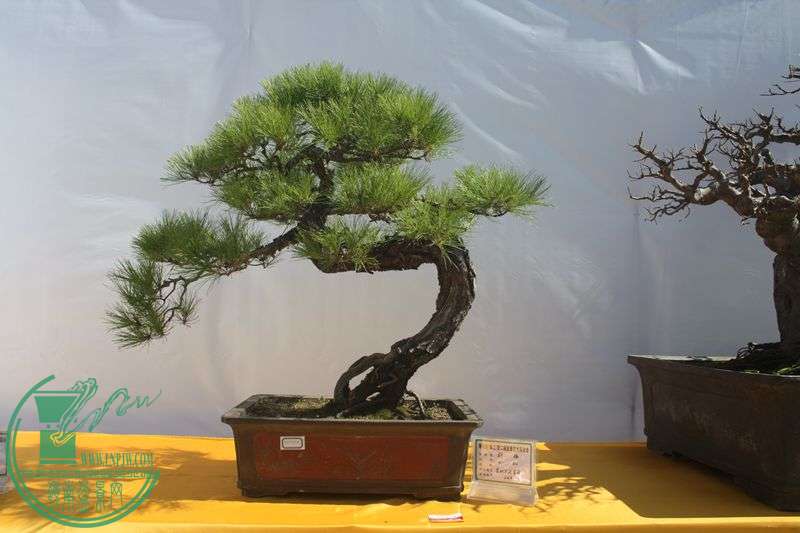 Ƭ20131026ۺ 157.jpg