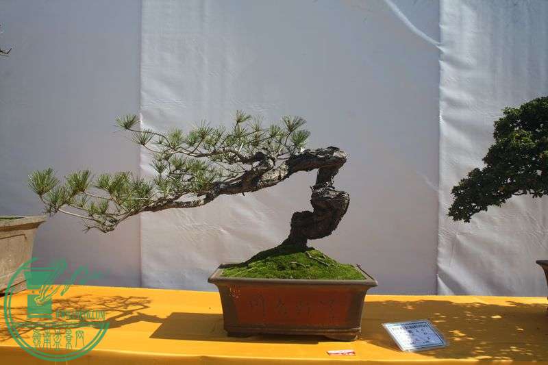 Ƭ20131026ۺ 159.jpg