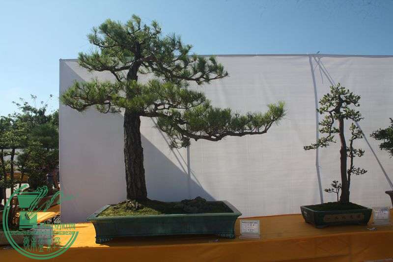 Ƭ20131026ۺ 309.jpg