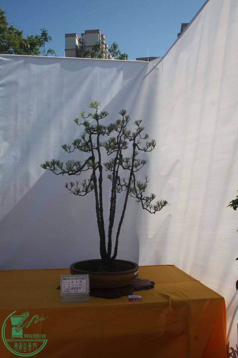 Ƭ20131026ۺ 162.jpg