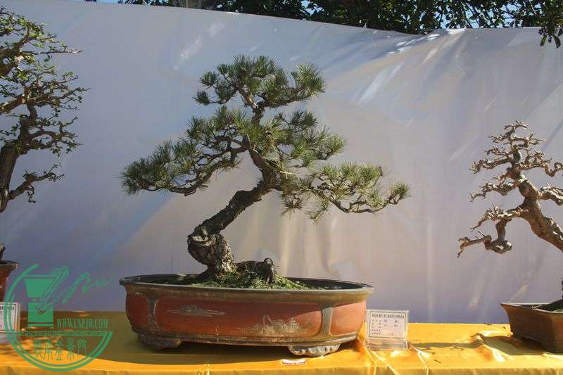 Ƭ20131026ۺ 179.jpg