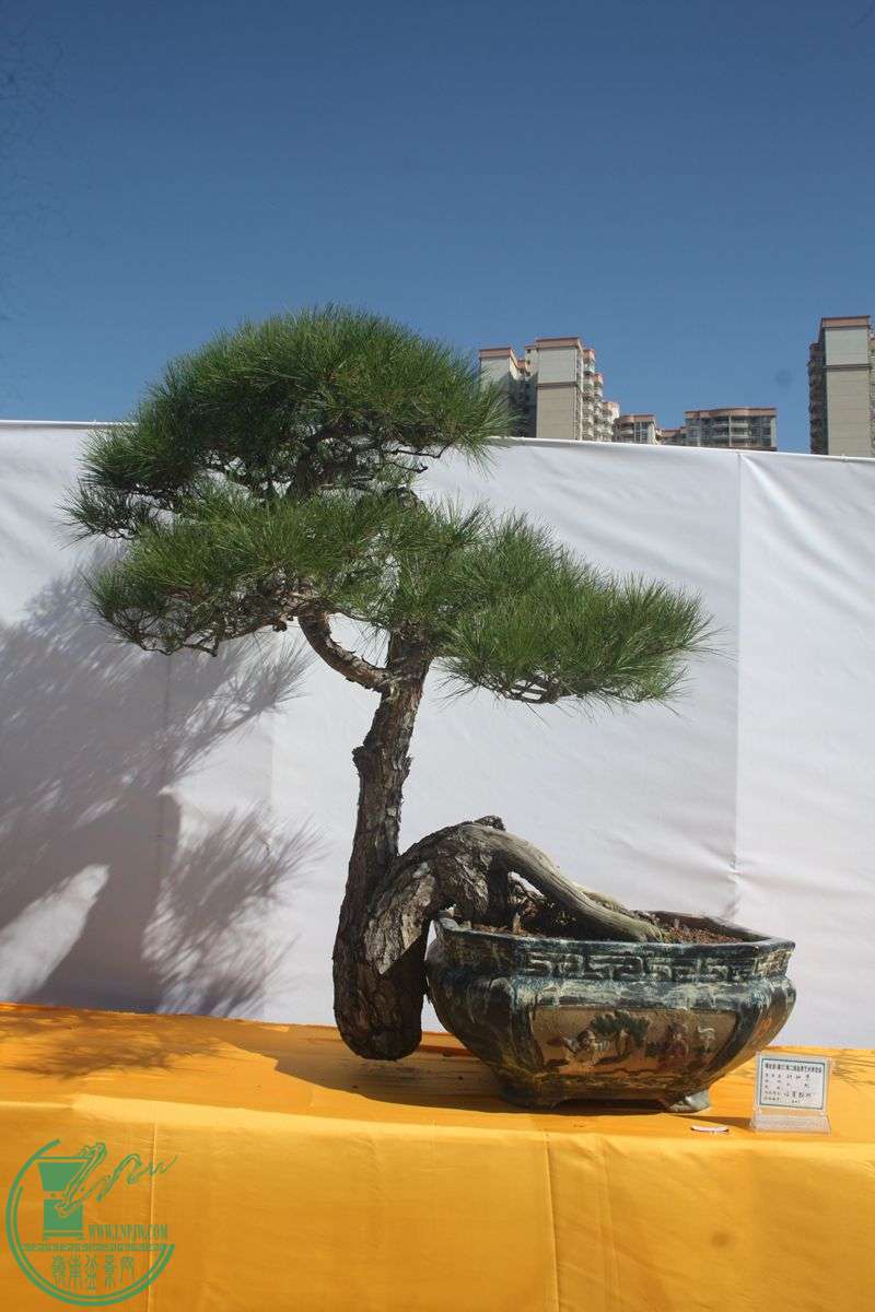 Ƭ20131026ۺ 226.jpg