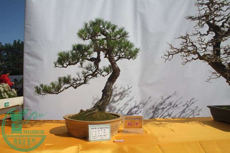 Ƭ20131026ۺ 256.jpg