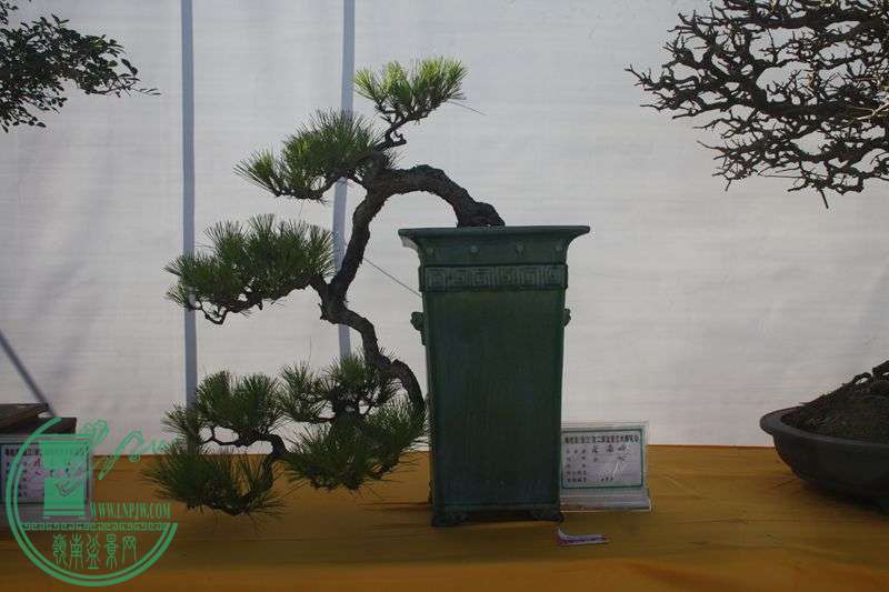 Ƭ20131026ۺ 276.jpg