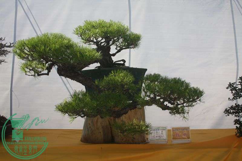 Ƭ20131026ۺ 273.jpg