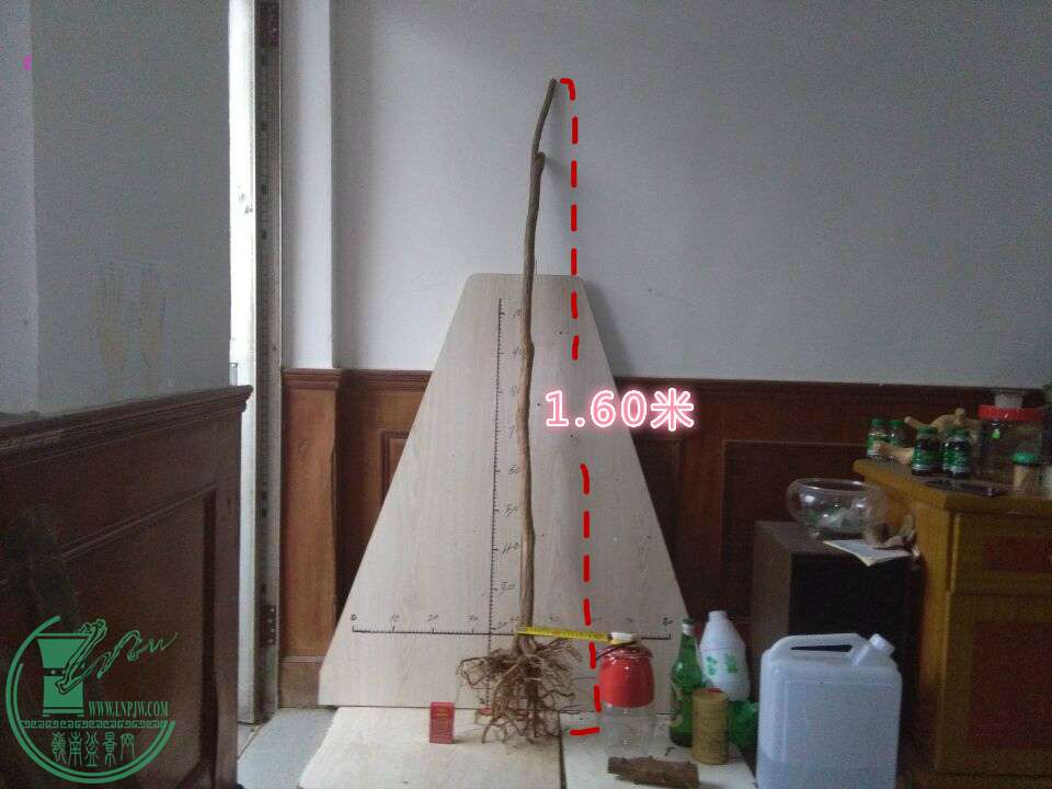 QQͼƬ20151207190415_meitu_1.jpg