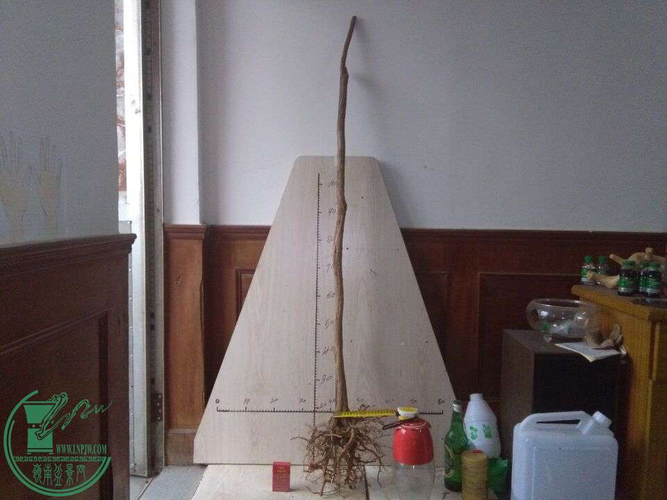 QQͼƬ20151207190435.jpg