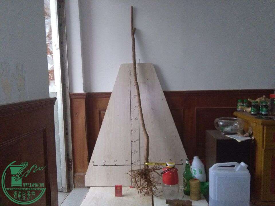 QQͼƬ20151207190441.jpg