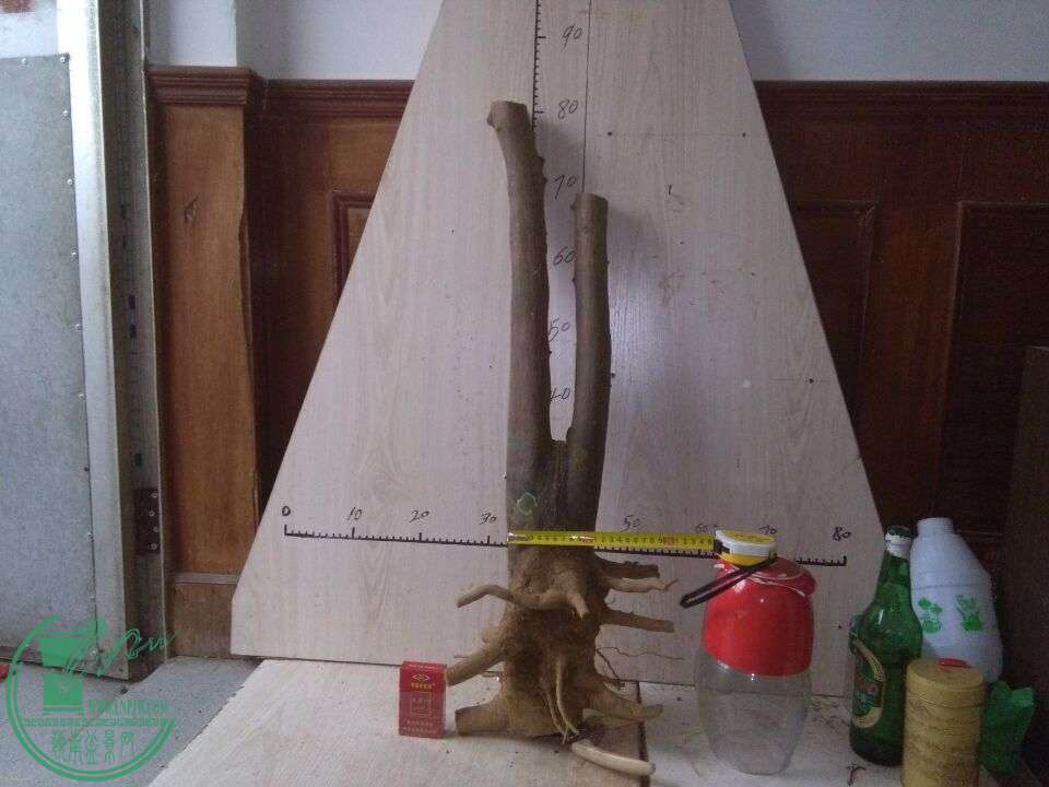 QQͼƬ20151207190452.jpg