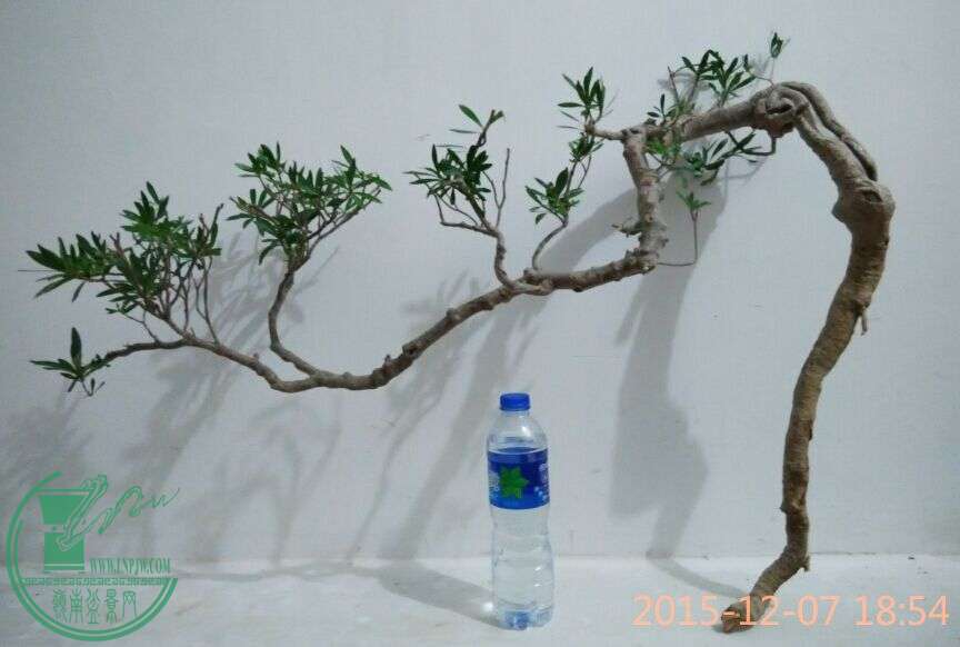 QQͼƬ20151207193116.jpg