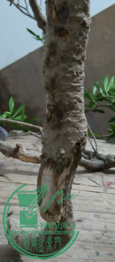 QQͼƬ20151207200110.png