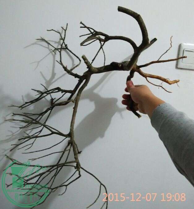QQͼƬ20151207194206.jpg