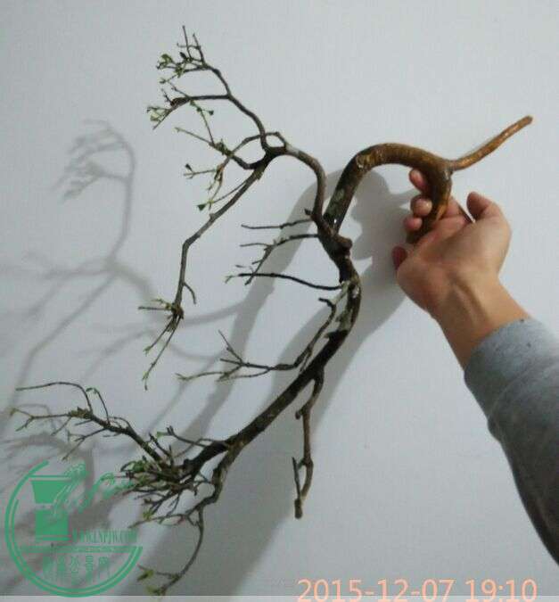 QQͼƬ20151207194410.jpg