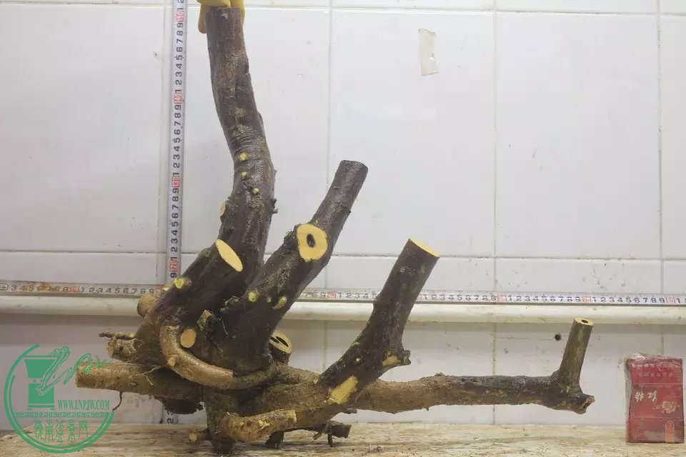 psb (2).jpg
