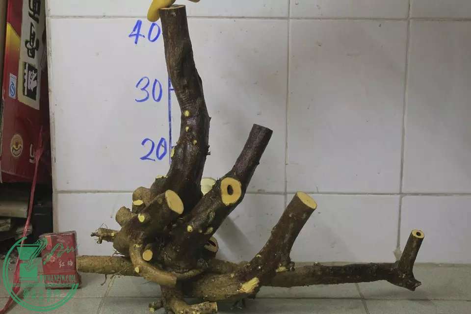 psb (4).jpg