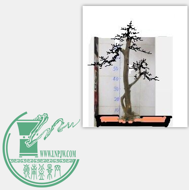 QQͼƬ20151207232739.png
