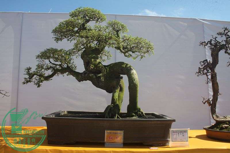 Ƭ20131026ۺ 056.jpg