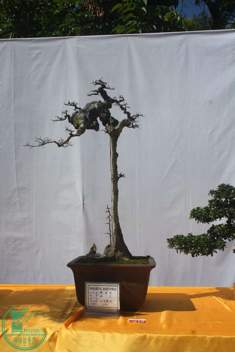 Ƭ20131026ۺ 039.jpg