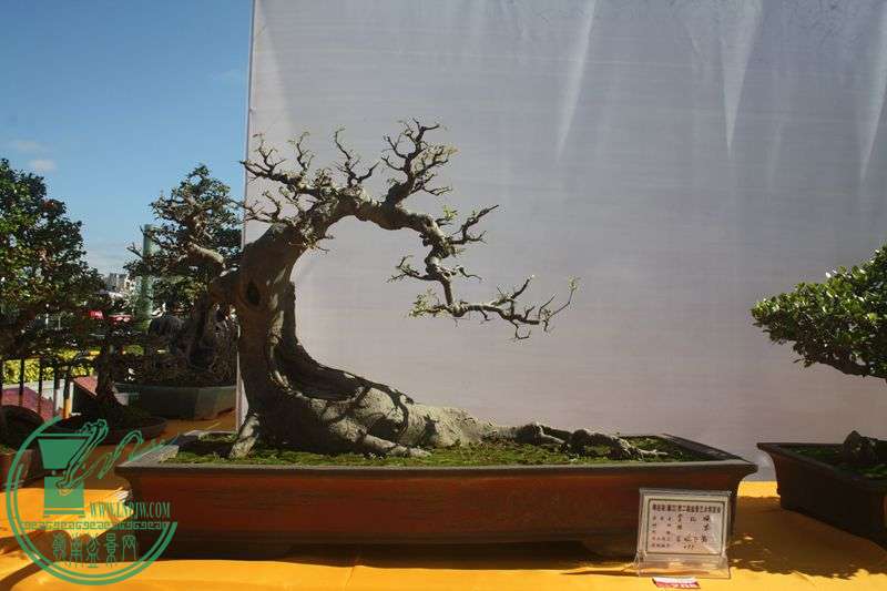 Ƭ20131026ۺ 054.jpg