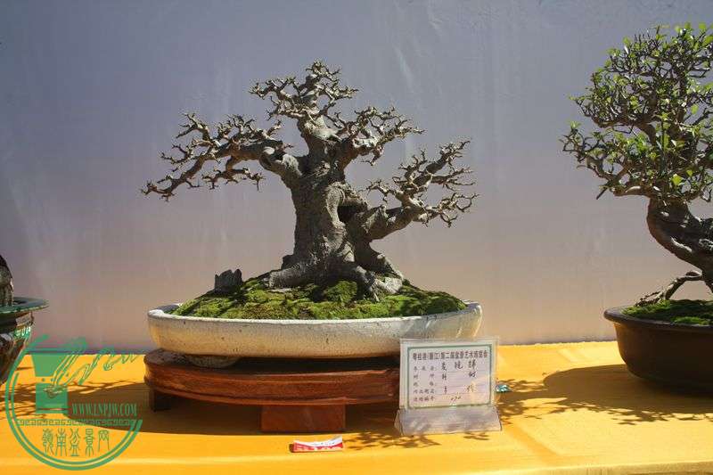 Ƭ20131026ۺ 100.jpg