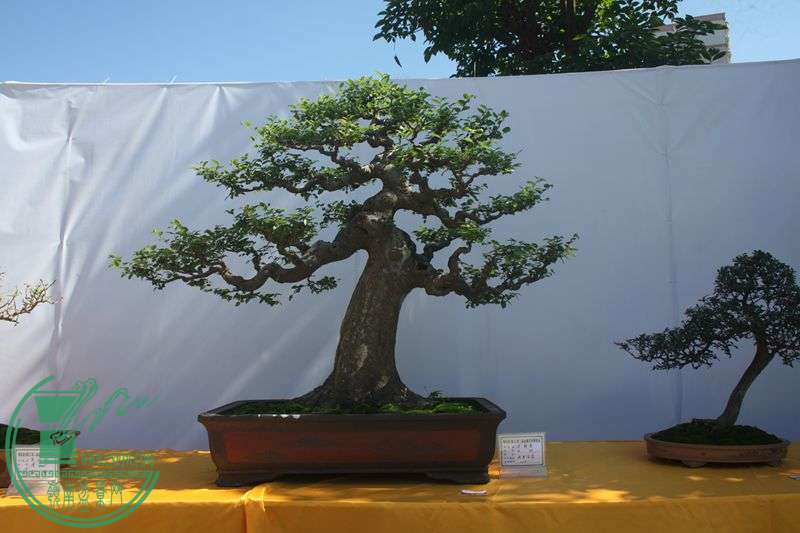 Ƭ20131026ۺ 107.jpg