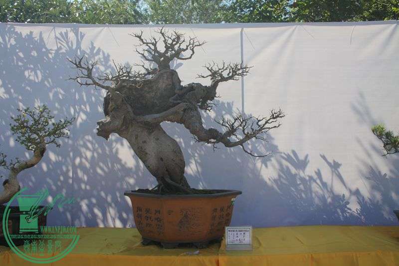 Ƭ20131026ۺ 201.jpg