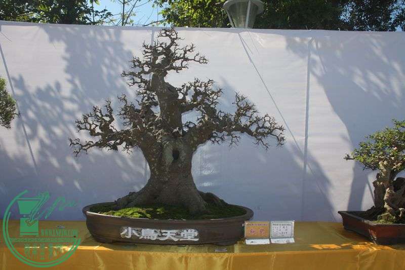 Ƭ20131026ۺ 203.jpg
