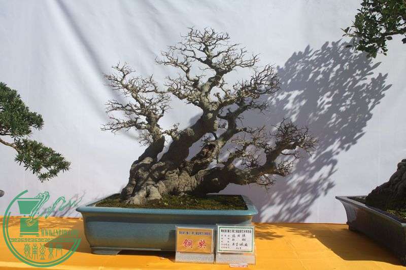 Ƭ20131026ۺ 241.jpg