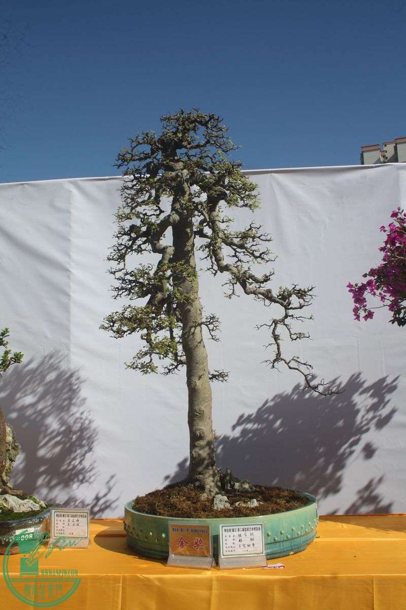 Ƭ20131026ۺ 253.jpg