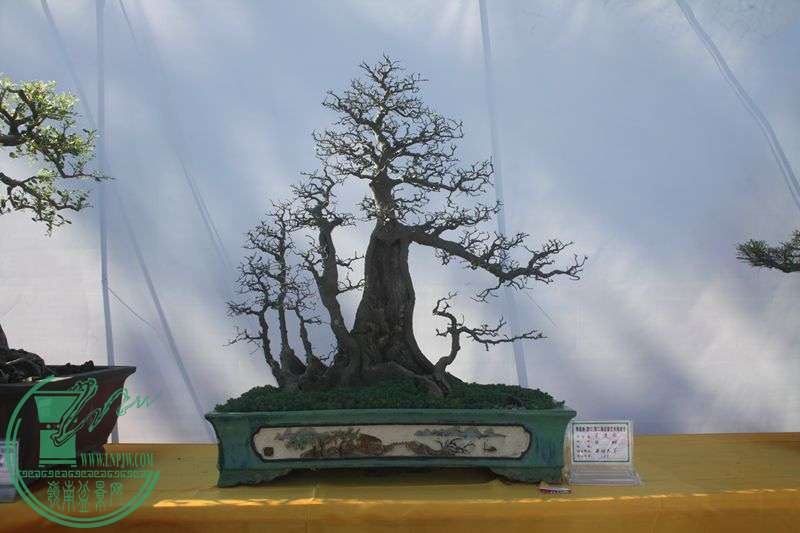 Ƭ20131026ۺ 260.jpg