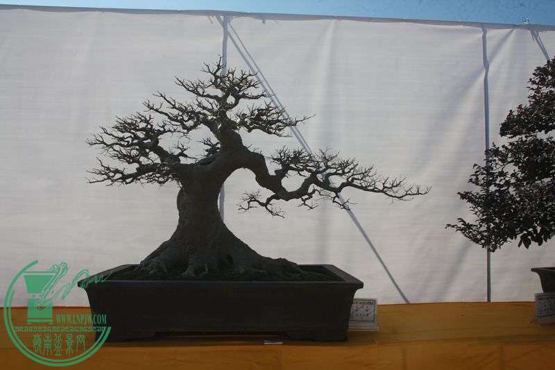 Ƭ20131026ۺ 284.jpg